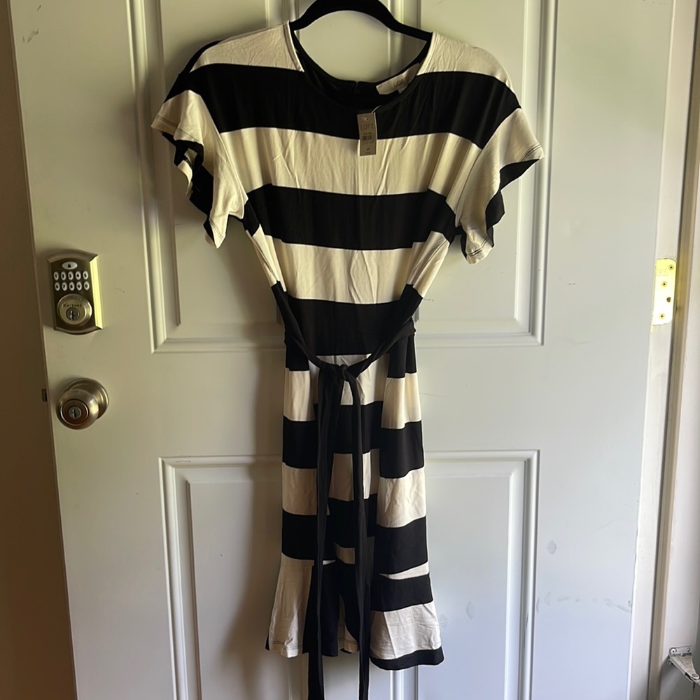 Loft black and cream dress, size 8P NWT